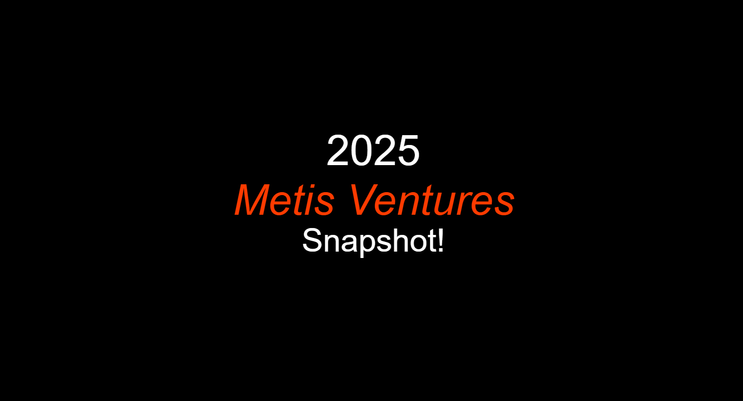 Metis Ventures 2025 Snapshot